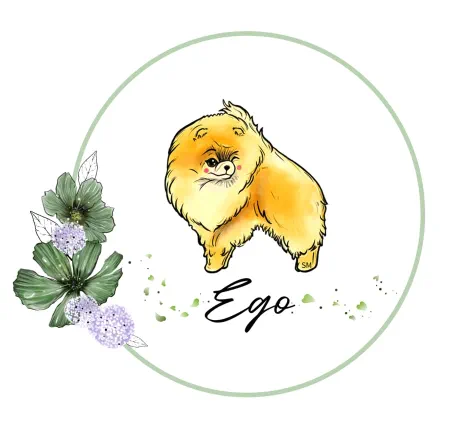 ego